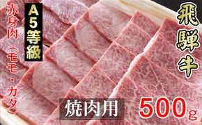 牛肉 飛騨牛 焼き肉 セット 赤身 モモ 又は カタ 500g 黒毛和牛 A5 美味しい お肉 牛 肉 和牛 焼肉 BBQ バーベキュー 【岐阜県輪之内町】