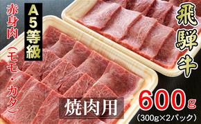 牛肉 飛騨牛 焼き肉 セット 赤身 モモ 又は カタ 600g 黒毛和牛 A5 美味しい お肉 牛 肉 和牛 焼肉 BBQ バーベキュー 【岐阜県輪之内町】