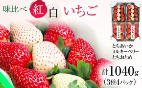 味くらべ紅白いちご 3種 4パック （2月上旬～中旬発送） いちご 果物 フルーツ 苺 イチゴ くだもの とちあいか ミルキーベリー とちおとめ 朝取り 新鮮 美味しい 甘い