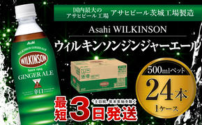 ウィルキンソン ジンジャーエール 500mlペット 24本入り1ケース