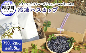 厚岸ハスカ 冷凍ハスカップ 2袋（750g×2 計1.5kg）