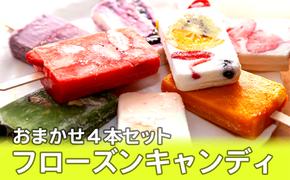 フローズンキャンディ おまかせ 4本 お試しセット ゴンタロー 秋田県 男鹿市