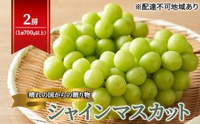 【2025年先行予約】 ぶどう 岡山県産 晴れの国からの 贈り物 シャインマスカット 2房（1房700g以上） 《2025年9月上旬-10月中旬頃出荷》 葡萄 ブドウ フルーツ 果物 スイーツ 数量限定 期間限定 岡山 里庄町