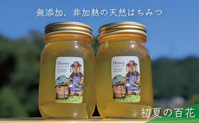 合計1200g 天然蜂蜜 国産蜂蜜 非加熱 生はちみつ 岐阜県 美濃市産 初夏  (蜂蜜600g入りガラス瓶2本セット)B6