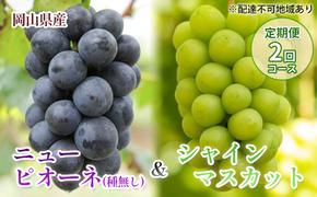 【 2025年 先行予約 】岡山県産 ニューピオーネ ＆ シャインマスカット （ご家庭用）定期便 2回 コース《2025年9月-10月出荷》 岡山県産 フルーツ 果物 数量限定 里庄町