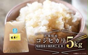 【残留農薬不検出米】茨城県産 コシヒカリ 5kg【玄米】 令和5年産 単一原料米 米 お米 おこめ ごはん 残留農薬不検出 無農薬 ブランド米 国産 常温 守谷市