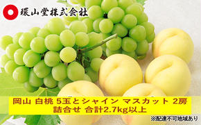 桃 ぶどう 2025年 先行予約 岡山 白桃 5玉とシャイン マスカット 2房 詰合せ 合計2.7kg以上 もも 葡萄 岡山県産 国産 フルーツ 果物 ギフト 環山堂