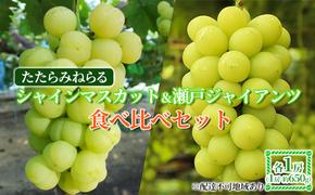 【2025年先行予約】 ぶどう 岡山県産 たたらみねらる シャインマスカット & 瀬戸ジャイアンツ 食べ比べセット 各1房(1房約650g) 《2025年9月中旬-10月中旬頃出荷》 ブドウ フルーツ 果物 数量限定 期間限定 岡山 里庄町