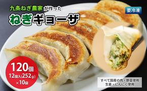 九条ねぎ農家が作ったねぎギョウザ（12個入×10袋） 〈 ぎょうざ 餃子 ギョーザ 九条ねぎ 京野菜 冷凍 冷凍餃子 惣菜 国産豚肉  おかず つまみ 夕飯 晩御飯 手軽 便利 〉 