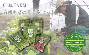 FV018_有機野菜のサラダセット