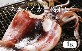 柔らか肉厚の スルメイカ 一夜干し 1枚[ 国産 干物 肴 つまみ イカ ]