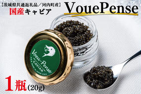 FH-1　【茨城県共通返礼品／河内町産】国産キャビアVouePense（20ｇ×1瓶）