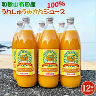 ZJ6061_和歌山有田産100% うんしゅうみかんジュース 970ml × 12本セット