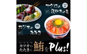 KYF114　【CF-R5cbs】 「訳ありカツオのたたき」600g＋「訳ありマグロの漬け丼の素」1食80g×5P（順次出荷中）＜高知市共通返礼品＞