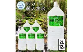 SKS037　【CF-R5cbs】 四万十の純天然水（2L×6本）×2ケース