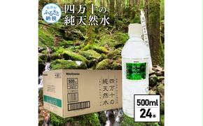 SKS061　【CF-R5frp】 四万十の純天然水 500ml×24本 水 天然水 ナチュラルミネラルウォーター モンドセレクション金賞受賞 健康 おいしい お水 飲みやすい おすすめ ご家庭用 ご自宅用 備蓄 防災 水 まとめ買い