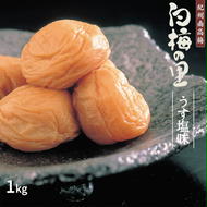 DR6018_特選 紀州南高梅 梅干し「白梅の里」うす塩味 1kg