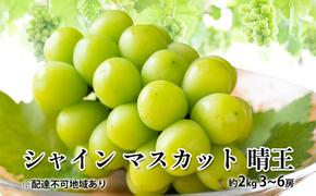 ぶどう 2024年 先行予約 シャイン マスカット 晴王 約2kg 3～6房 種無し ブドウ 葡萄  岡山県産 国産 フルーツ 果物 ギフト