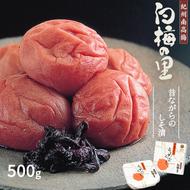 DR6019_特選 紀州南高梅 梅干し「白梅の里」昔しそ 500g