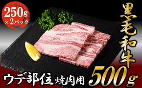 黒毛和牛 焼肉用 500g （250g×2パック） 国産 お肉 和牛 牛 精肉 食品