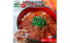 これが魚屋の漬け丼だ！～ブリ～ 《訳あり》 ８０ｇ×１０P ブリ ぶり 鰤 漬け丼 漬け どんぶり 丼 10パック 海鮮 魚 真空パック 個食 個包装 冷凍 配送 訳あり 規格外 不揃い