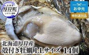 北海道 厚岸産 殻付き 牡蠣 LLサイズ 14個 お中元 特別選別品 魚貝類 生牡蠣 海鮮 海の幸 海産物 ふっくら 濃厚 甘み オイスター 生食用殻付カキ 生食用 