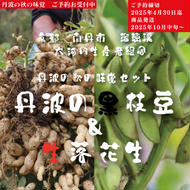 枝豆 京都 2025年 先行予約 黒枝豆 生落花生 るり渓 大河内生産組合発 丹波 野菜 国産 生 落花生 おつまみ えだまめ エダマメ 先行 ※北海道・沖縄・離島への発送不可