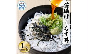 KGP079　高知県産釜揚げしらす500g×2パック 1kg 1キロ 簡易梱包 シラス 小分け 国産 釜揚げ しらす丼 海鮮丼 お茶漬け ごはん 軍艦巻き 手巻き寿司 ご飯 雑炊 冷奴 冷凍配送 おかず おつまみ