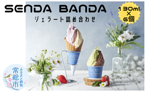 SENDA BANDA ジェラート詰め合わせ〈130ml×6個〉