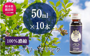 無添加 砂糖不使用 のぎゅぎゅっと 100％ 濃縮 ブルーベリードリンク 2箱 （50ml×10本） 果汁飲料 野菜飲料 ブルーベリージュース