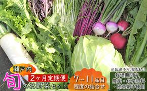 2ヶ月 定期便 瀬戸内「旬」のお野菜セット 7～11品目程度の詰合せ 野菜 農薬 化学肥料 除草剤不使用 岡山 M’s farm