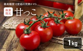 【2025年7月より発送】北海道 富良野市産 完熟ミニトマト（甘っこ）約1kg カラートマト・ぷちぷよ付 トマト 甘い 野菜 新鮮 数量限定 先着順【藏ファーム】