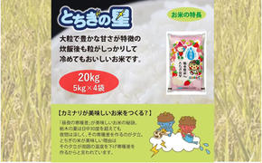 栃木県鹿沼市産 とちぎの星 無洗米 20kg（5kg×4袋） 令和6年産 水稲うるち精米 単一原料米 お米  特A 大粒