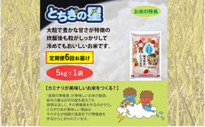 【定期便 6ヶ月】栃木県鹿沼市産 とちぎの星 無洗米 5kg 6回お届け 令和6年産 水稲うるち精米 単一原料米 お米  特A 大粒 