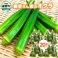 黒岩さん家のオクラ 20袋 オクラ 国産 おくら 国産オクラ 新鮮野菜 美味しい 野菜 厳選 新鮮 おかず 常温 副菜 惣菜 煮物 朝どれ 詰め合わせ 取り寄せ グルメ お取り寄せグルメ お取り寄せ