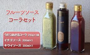 【美濃】フルーツソースとクラフトコーラのセット