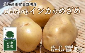 【2025秋～発送】 北海道 南富良野町 じゃがいも「インカのめざめ」 5kg(S～Lサイズ混合) じゃがいも ジャガイモ いんか インカ 野菜 やさい