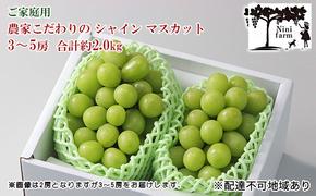 ぶどう 2025年 先行予約 【平均糖度20度】ご家庭用 農家こだわりの シャイン マスカット 3～5房 合計約2.0kg ブドウ 葡萄 岡山県産 国産 フルーツ 果物 【 Nini farm 農家 直送 】