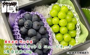 ぶどう 2025年 先行予約 農家こだわりの シャイン マスカット ＆ ニュー ピオーネ 2房 合計約1.0kg 贈答クラス 葡萄 岡山県産 国産 フルーツ 果物 ギフト 【 Nini farm 農家 直送 】 デザート 
