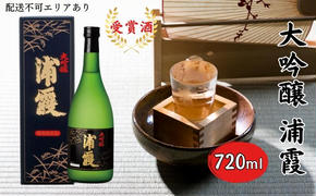 [ 浦霞 ] 大吟醸 浦霞 720ml 佐浦 加東市産山田錦使用 化粧箱入[ 日本酒 酒 お酒  四合瓶 贈答品]