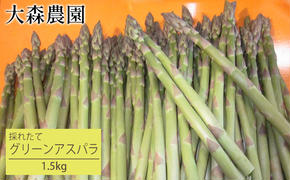 北海道 仁木町産 グリーンアスパラ 1.5kg 【大森農園】アスパラ 新鮮 野菜