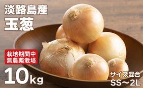 淡路島玉葱 10kg 【栽培期間中、無農薬栽培】サイズ混合SS～2L