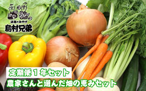 【定期便１年セット】農家さんと選んだ畑の恵みセット　　[野菜セット 定期便 野菜セット 野菜セット 淡路島 野菜セット 定期便 野菜セット]