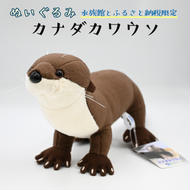 ぬいぐるみ カワウソ アクアワールド 大洗 オリジナル グッズ 茨城 水族館 カナダカワウソ かわうそ 限定