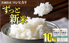 令和6年産 コシヒカリ 冬眠米 10kg 茨城県産 白米 精米 ごはん お米 冬眠 とうみんまい ブランド米 検査米 単一原料米 国産 守谷市 送料無料