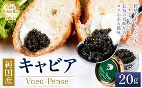 純国産 キャビア Voeu-Pense 20g 【茨城県共通返礼品　河内町】 ※2024年1月下旬頃より順次発送予定