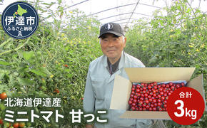 北海道伊達産 ミニトマト 甘っこ 3kg とまと 甘い 野菜 やさい 人気 新鮮 産地直送 農家直送 先行受付