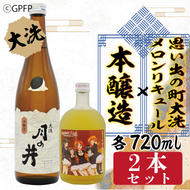 本醸造 720ml メロン リキュール ガルパン コラボ 720ml 2本 セット 月の井 大洗 日本酒 思い出の町 茨城 ガールズ＆パンツァー