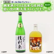 純米酒 やれば出来る桂利奈 720ml メロン リキュール ガルパン コラボ 720ml 2本 セット 大洗 地酒 日本酒 茨城 ガールズ＆パンツァー