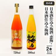 日本酒 仕込み 梅酒 恋梅720ml 梅酒 500ml 2本 セット 月の井 大洗 地酒 国産梅 飲み比べ 茨城